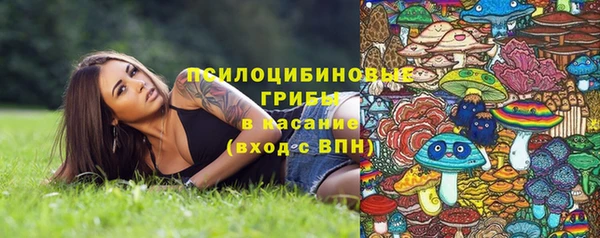 spice Козельск