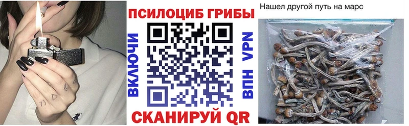 Псилоцибиновые грибы MAGIC MUSHROOMS  Глазов 
